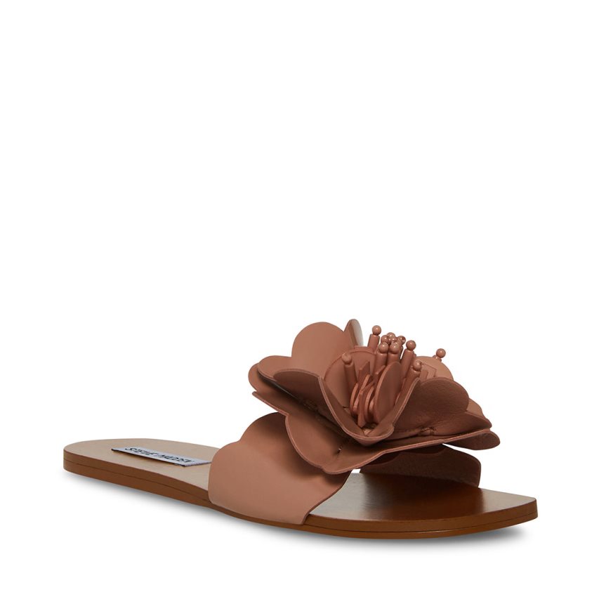 Sandalias Planas Steve Madden Chelsea Mujer Marrones | ES NJES49